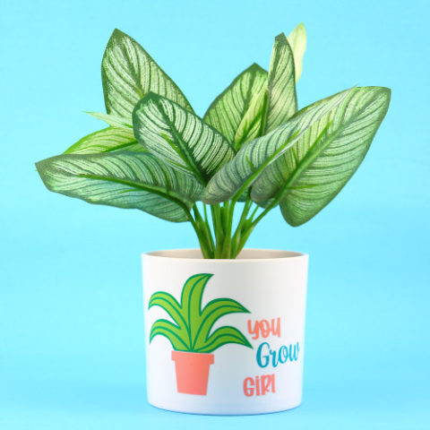 layered vinyl plant pot with you grow girl/plant decal