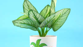 plant pot with "You Grow Girl" and plant decal with the title, Easy Layered Vinyl Plant Pot