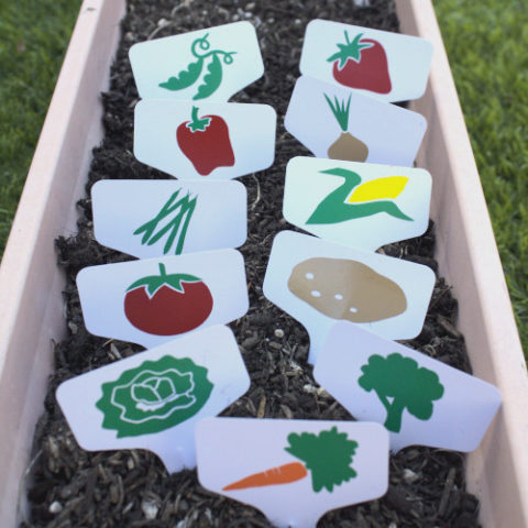 Display of vinyl garden vegetable markers