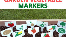 Title and feature for Vinyl Garden Vegetable Markers